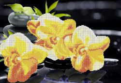 КБ-055 Схема для вышивания бисером ТМ Наследие "Желтые орхидеи"